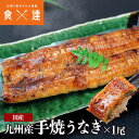 鰻 手焼き うなぎ 1尾 100g以上 国産 九州産 蒲焼き ウナギ 土用丑 土用 丑の日 スタミナ 夏 母の日 ギフト プレゼント