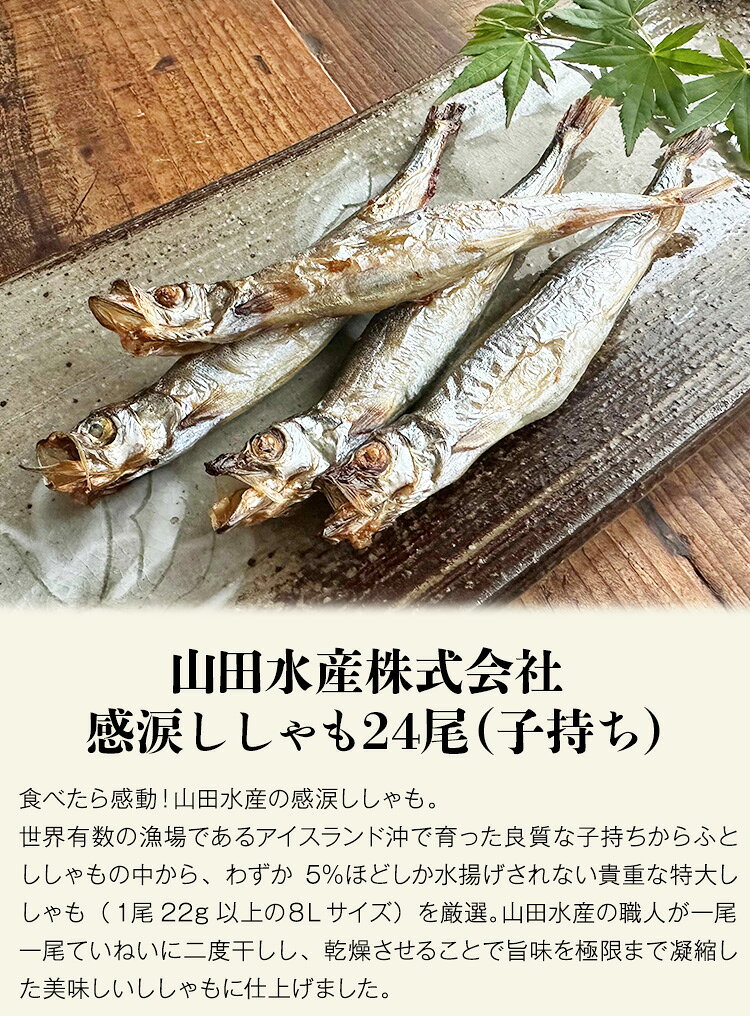 ししゃも 子持ち 24尾 ギフト 贈答 山田水産 山田の感涙ししゃも アイスランド 冷...