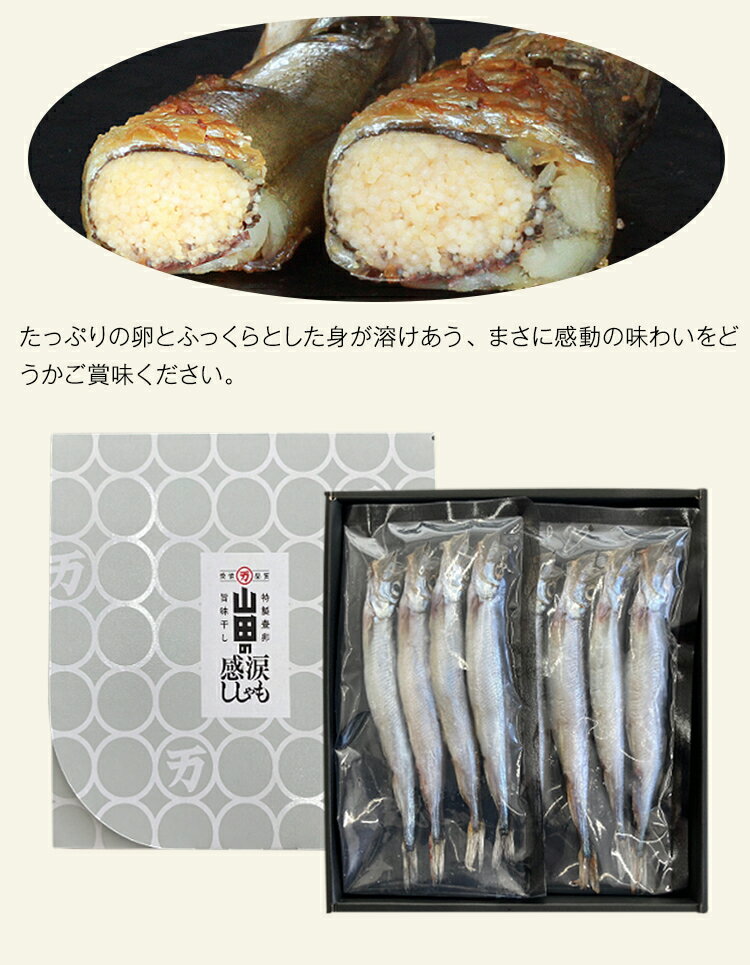 ������� �һ��� 24�� ���ե� £�� ���Ŀ建 ���Ĥδ��ޤ������ ���������� ������ Ʊ���Բ� �������Բ� ��ľ