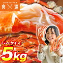 訳あり L～2Lボイルズワイ蟹 5kg 送料無料 冷凍便 業務用 ずわいがに ずわい蟹 かに カニ 蟹 お取り寄せ