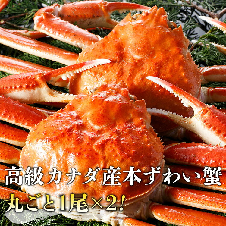 かに カニ 蟹 ズワイガニ 姿ずわい2尾 約1.3kg(1.2kg〜1.4kg) かに味噌 グルメ 食品 海鮮 ギフト shokutatsu-10000668 食の達人お取り寄せグルメ サンプル画像3