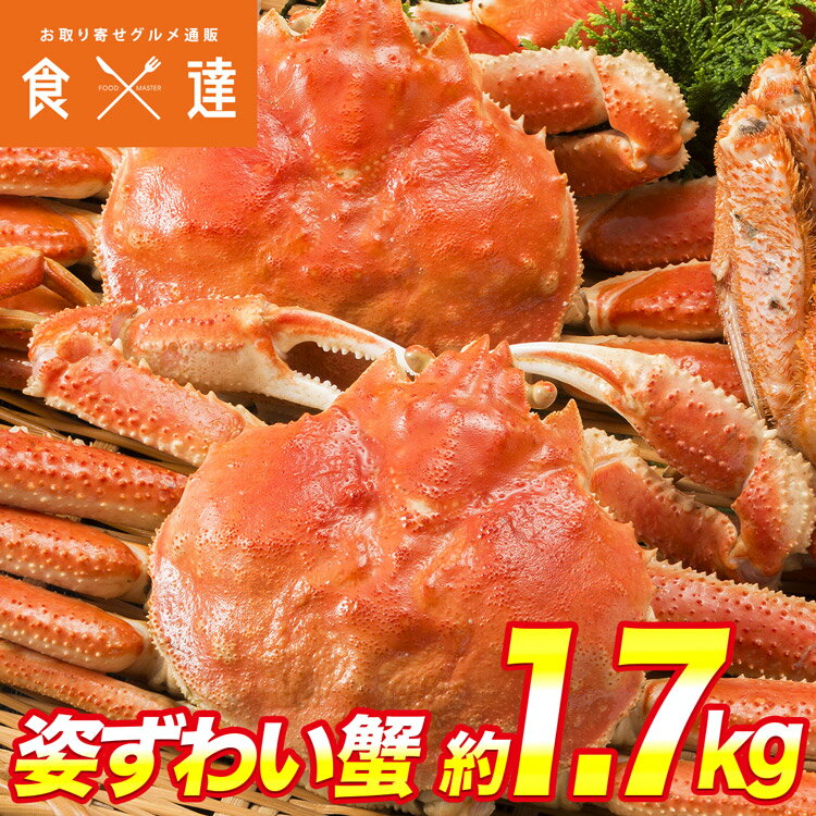 姿ずわい蟹2尾セット 約1.7kg(1.6kg～1.8kg) 高級カナダ産 ボイル済み かに 蟹 カ ...