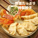 餃子 送料無料 冷凍餃子 野菜たっぷり 50個 100個 18g 焼き餃子 生餃子 ぎょうざ ギョウザ ギョーザ 冷凍食品 食品 惣菜 中華惣菜 点心 中華 中...