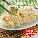 餃子 送料無料 冷凍餃子 野菜たっぷり 100個 18g 焼き餃子 生餃子 ぎょうざ ギョウザ ギョーザ 冷凍食品 食品 惣菜 中華惣菜 点心 中華 中華点心 ...
