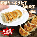 餃子 冷凍餃子100個 18g 焼き餃子と野菜たっぷり餃子 二種類餃子 生餃子 ぎょうざ ギョウザ ギョーザ 冷凍食品 食品 惣菜 中華惣菜 点心 中華 中華点...