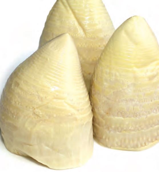 たけのこ 孟宗竹ホール 11kg(固形量11kg×1缶) 筒A大2 富士商会 業務用 5G缶 一斗缶◇送料無料 ◎