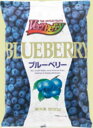 ブルーベリー 10kg(500g×20袋×1箱) 冷凍 業務用大容量 ノースイ◇ 関東近県送料無料【お取り寄せ品】◎