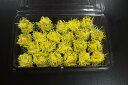 商品画像2:ミニ勝栗(業務用)季節商品