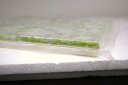 商品画像2:うすい新丈(業務用食材)