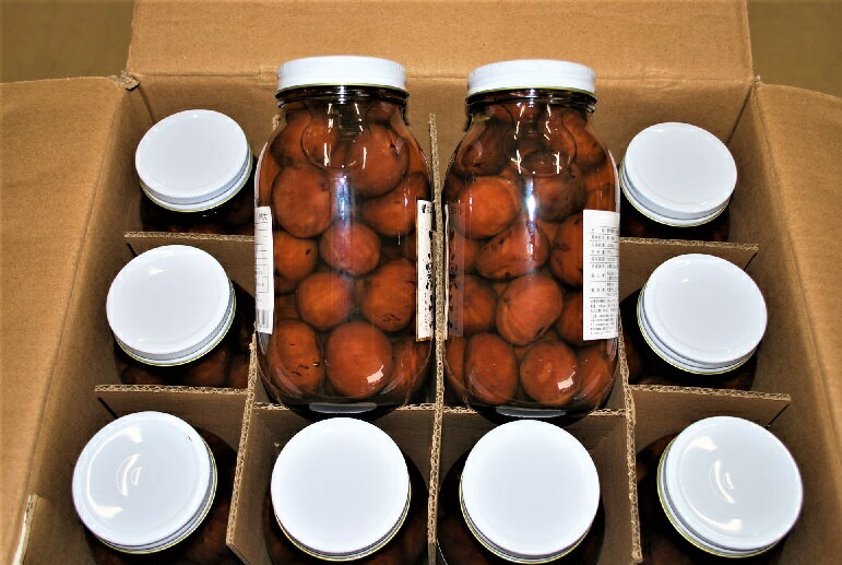 【送料無料】(沖縄・離島は除く)栗甘露煮渋皮煮М中(業務用)渋皮煮・栗甘露煮・栗甘露・栗・マロン12本ケース販売