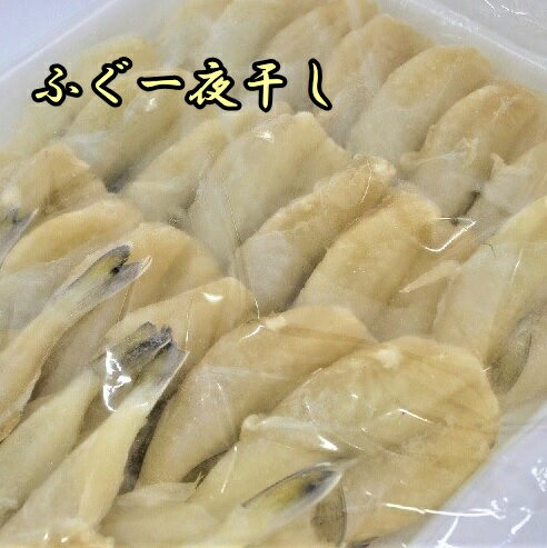 【送料無料】（沖縄・離島は除く）ふぐ一夜干し 30尾 フグ 河豚 開き 簡単 うまい ...