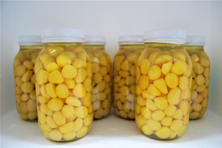 【送料無料】(沖縄・離島は除く)栗甘露煮6本 ミニマロン 栗甘露煮 栗甘露 栗 マロン 業務用2ポンド瓶 (約100個)お弁当食材 簡単 お手軽 ストック食材 ...