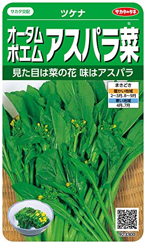 Rakuten - サカタのタネ 実咲野菜3300 オータムポエムアスパラ菜 ツケナ 00923300