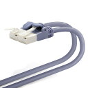 エレコム LANケーブル CAT5e 爪折れ防止 スタンダードタイプ 10m ブルー 【PlayStation 4 対応】 LD-CTT/BU1