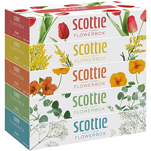 スコッティティシューフラワーボックス5箱パック