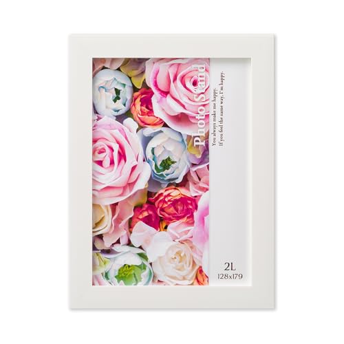 大仙 額縁 写真立 プレーヌ 樹脂製 2L判 ホワイト R08702203