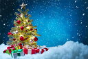 Qinunipoto クリスマス Merry Christmas 写真撮影用 背景布 背景 布 写真 ?影 撮影用 星 クリスマスツリー 人物撮