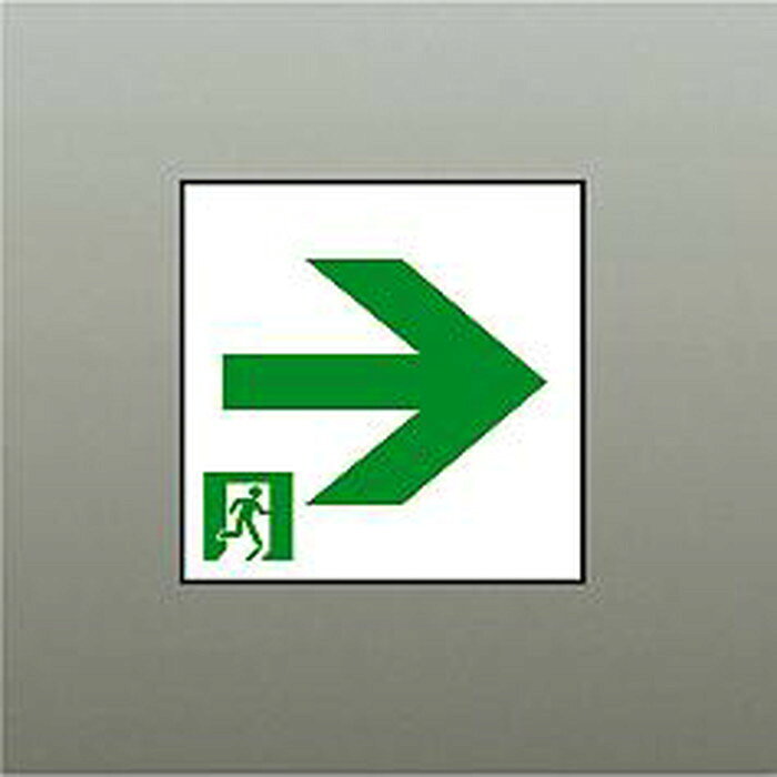 【仕様】●メーカー：大光電機/ダイコー/DAIKO●型番：DP36859E●JANコード：4955620829165●室内通路誘導灯 表示パネル●B級BH形 20A形・B級BL形 20B形