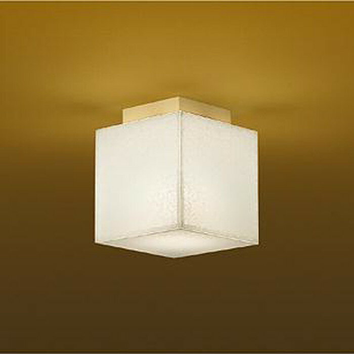 Other - LZC91210YT 大光電機 小型シーリングライト 白熱灯器具60W相当 電球色 LZC-91210YT