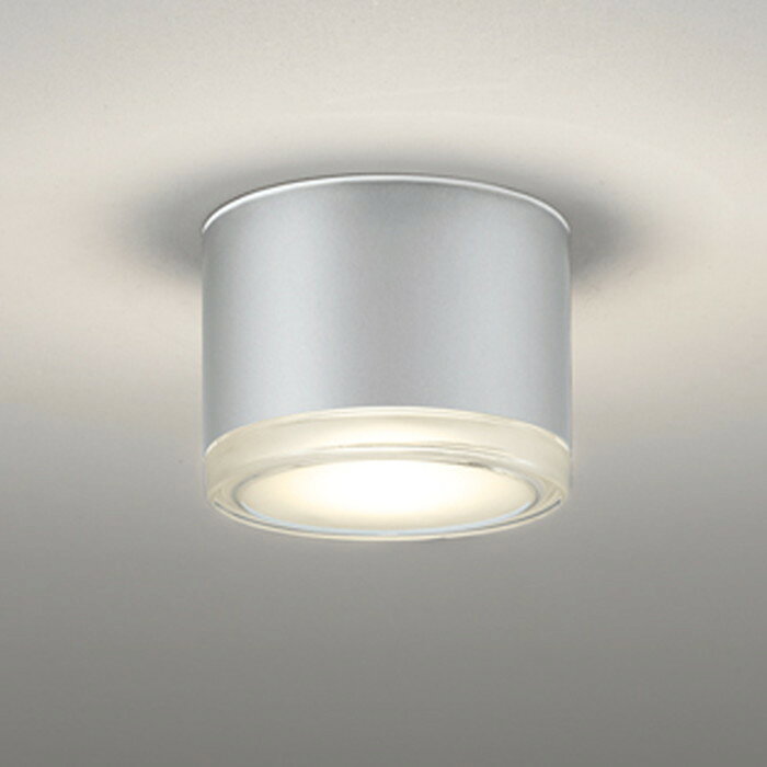 OR037039 オーデリック 非常灯 白熱灯器具100W相当 電球色 防雨型