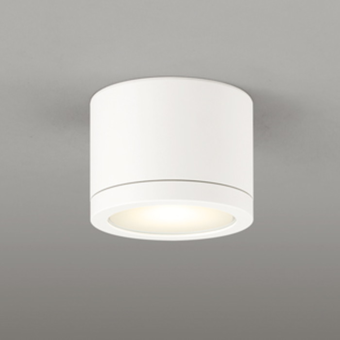 OR037064 オーデリック 非常用照明器具 階段通路誘導灯 白熱灯器具100W相当 電球色 2700K 防雨型