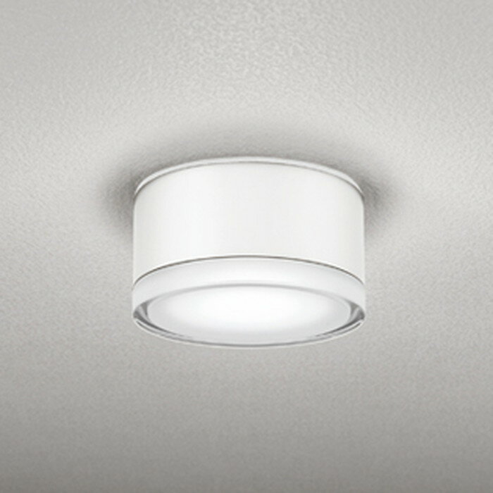 OG254598NR オーデリック 軒下シーリングライト 白熱灯器具100W相当 昼白色 防雨型