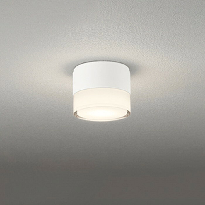 OG264060LR オーデリック 軒下シーリングライト 白熱灯器具40W相当 電球色 防雨型