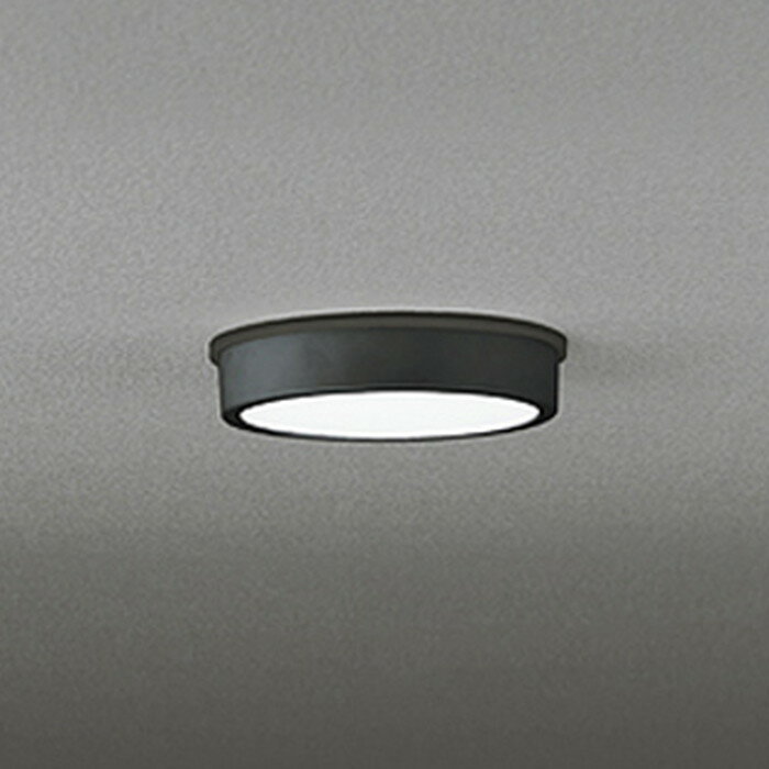 西式吸頂燈 - OG254517R オーデリック 軒下シーリングライト 白熱灯器具100W相当 昼白色 防雨型