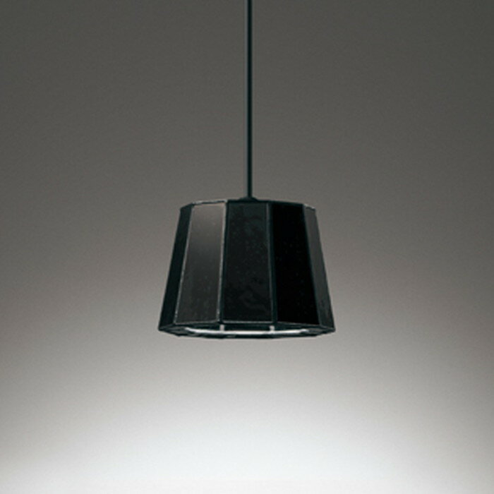 OP252981NR オーデリック ペンダントライト 白熱灯器具60W相当 昼白色 レール取付専用