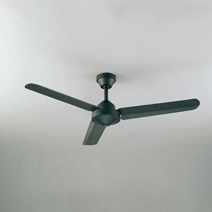 a017240.jpg