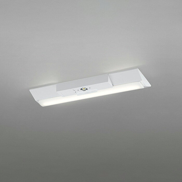 【仕様】●メーカー：オーデリック/ODELIC●型番：XR506004R1D●JANコード：4905090969991●ベースライト●非常用照明器具 階段通路誘導灯兼用型●20形●FL20W相当●温白色●3500K●800lmタイプ●逆富士型 幅230●LED-LINE【ご注意】※寿命は、全光束が初期の70%となる時間です。寿命は設計値であり、保証値ではありません。