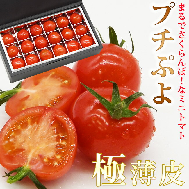 静岡産ミニトマト【 プチぷよ 】 1パック / 2パック / 化粧箱入 太陽と星が育てたトマト さくらんぼトマト プチトマト ぷちぷよ プチプヨ 有機肥料 除草剤不使用 化学合成農業 化学肥料削減 フルーツトマト 高糖度 ギフト 珍しい 薄皮 特別栽培 クール便 送料無料