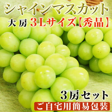 ＼大房3Lサイズ／シャインマスカット【秀品】3房セット【簡易ダンボール入り】（合計1.5キロ前後）