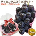 【 あす楽 即日発送 】 種無し 巨峰 または ピオーネ 2房 セット 秀品 合計800-1,000g前後 詰め合わせ 父の日 お中元 夏ギフト 暑中お見舞 残暑お見舞 敬老 フルーツ 内祝 お祝 お礼 お見舞 お誕生日 ぶどう ブドウ 国産 ギフト 贈り物 果物 くだもの 食べやすい おしゃれ