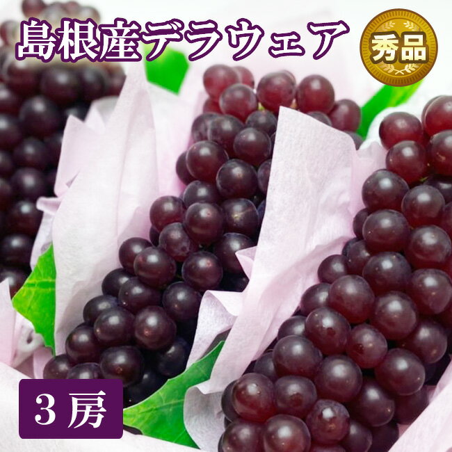 ぶどう 種なし ぶどう 島根産 デラウェア【秀品】3房セット 父の日 ギフト プレゼント 温室ぶどう 食べやすい フルーツ ギフト 果物 無料 メッセージカード おすすめ 人気 グルメ 喜ばれる 貰って嬉しい 高級 健康 リボン ラッピング 送料無料