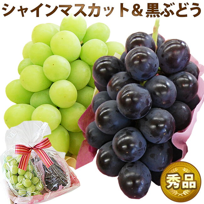 2色 ぶどう セット シャインマスカット ＆ 巨峰 または ピオーネ または高妻など黒...