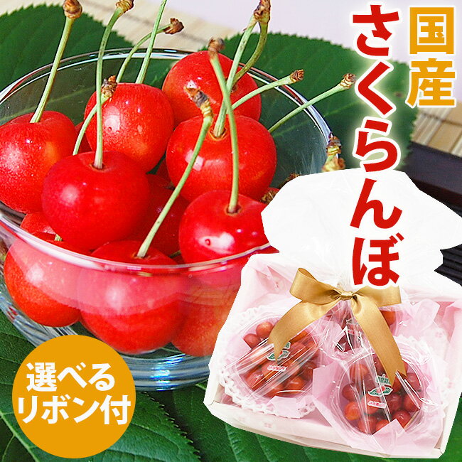 国産 さくらんぼ 3パッ