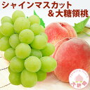 エコ梱包 お試しサイズ シャインマスカット 「秀品 」1房& 桃 「 大糖領 中玉」2個 甘い桃 ぶどう ブドウ 最高等級 糖度 お中元 暑中見舞 残暑見舞 夏ギフト 御祝 内祝い お誕生日 お見舞い 御礼 お供え 法事 法要 志 ご自宅用