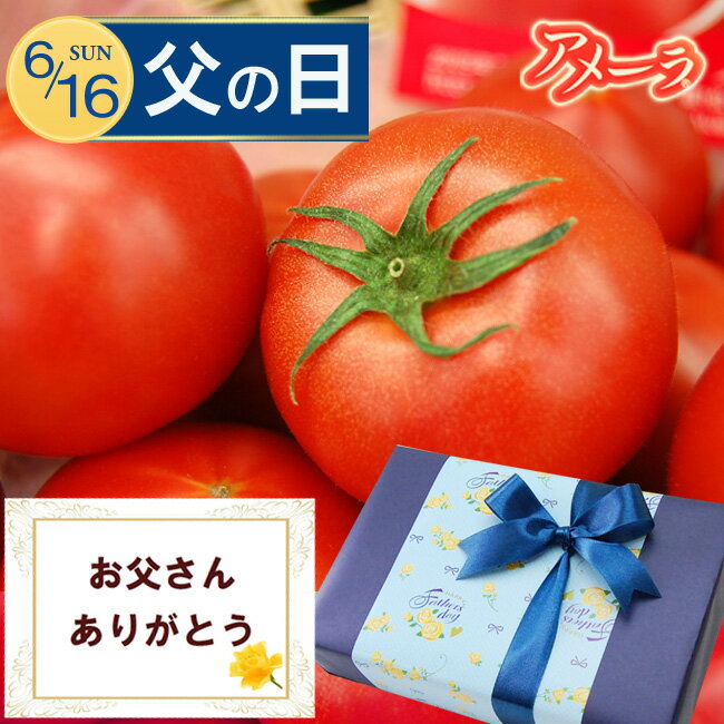  父の日ギフト プレゼント トマト 静岡県産 アメーラ トマト 9～16個 約1キロ 2024 限定ラッピング 無料メッセージカード フルーツ 果物 ギフト おしゃれ おすすめ 人気 グルメ 送料無料 高級 健康 ヘルシー フルーツトマト とまと