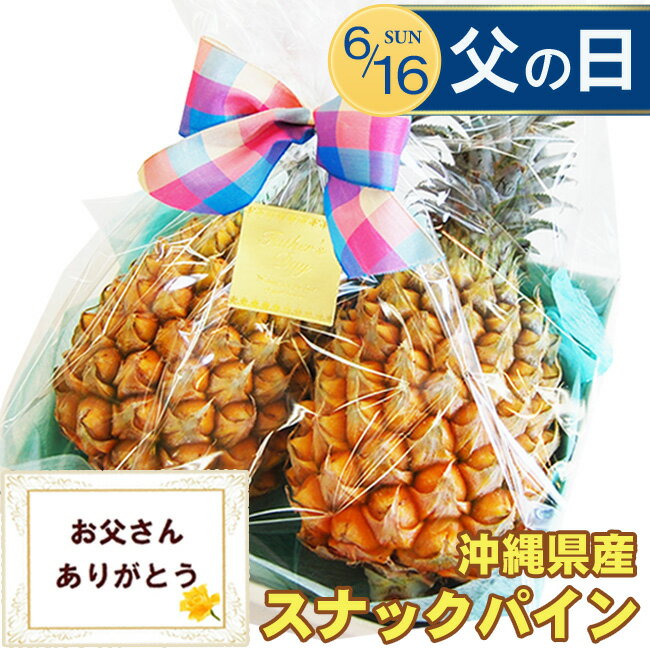 【 父の日 指定日 OK！ 】父の日ギフト プレゼント パイナップル 沖縄 産 スナック パイン 2玉 セット フルーツ ギフ…