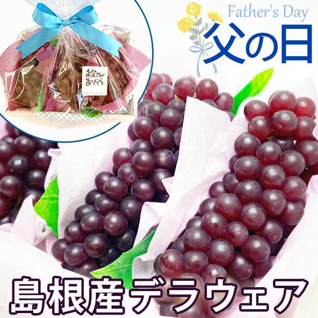 【 ご予約受付中 】 父の日ギフト 島根県産 甘い 種なし ぶどう デラウェア 【秀品】3房 セット 甘い 高糖度 プレゼント フルーツ ギフ..
