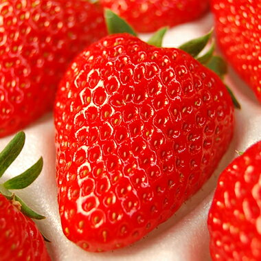 ��γ ������ �� ����� �ե롼�� �ͤ��碌 �� �ե롼�ĥ��ե� ���� ��� �� �Ȥۤä� �ץ쥼��� ǯ�� ǯ�� ���ͼ� ´�� ���� ������� £��ʪ ��ʪ ��� ���� ���� ������ ������ �͵� ���� ˡ�� ˡ�� �Ų� �;� ����̵�� ��������