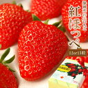 ラッピング付き♪静岡産紅ほっぺ いちご特大サイズ(12or15粒入)【お誕生日 お祝 内祝