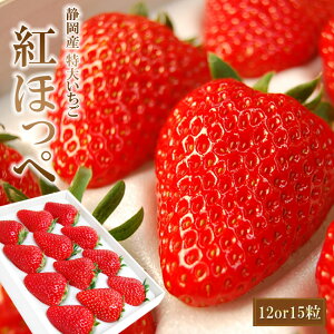 【静岡いちご】静岡県産の甘くて美味しい苺のおすすめは？