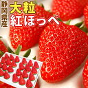 静岡県産 いちご 紅ほっぺ 大粒 24 または 30 粒 お届け日指定 ギフト おしゃれ フルーツ イチゴ 苺 プレゼント ひな祭り ホワイトデー 合格祝 卒業祝 入学祝 贈答 お礼 御祝 内祝 誕生日 お見舞 お返し お土産 高級 無料メッセージ 送料無料