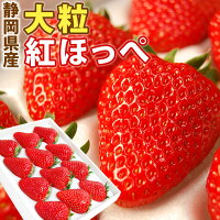 静岡県産 いちご 紅ほっぺ 大粒 12 または 15粒 ギフト おしゃれ リボン ラッピング 高級 フルーツ 大粒 イチゴ 苺 プレゼント お歳暮 クリスマス バレンタイン 合格祝 贈答 お礼 御祝 内祝 誕生日 お見舞 お返し メッセージカード クール便 送料無料