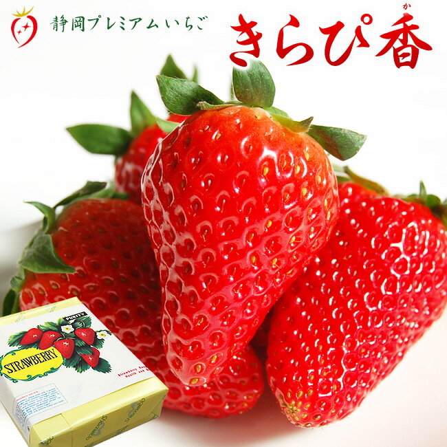 静岡県産 いちご 【 きらぴ香 】 12粒 または 15粒 入 化粧箱 静岡 大粒 お取寄せ ギフト プレゼント ..