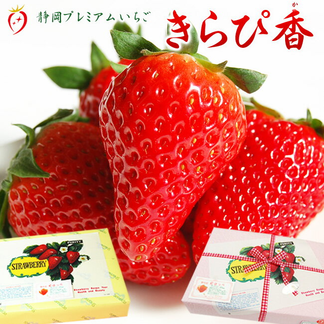 静岡県産 いちご 【 きらぴ香 】 24または30粒入 化粧箱 静岡 大粒 イチゴ お取寄せ ギフト プレゼント..
