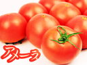 静岡の方言で「甘いでしょ？」＝アメーラ？どこか懐かしい美味しさの絶品トマト静岡産アメーラトマト【秀品】9〜16個（約1キロ）