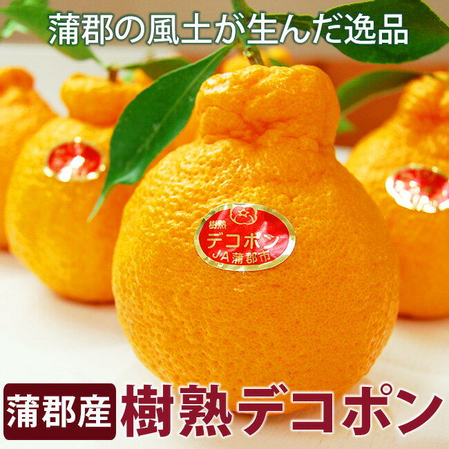 楽天市場】デコポン(総個数6 ~ 8個入り)の通販 楽天市場】デコポン(総個数6 ~ 8個入り)の通販